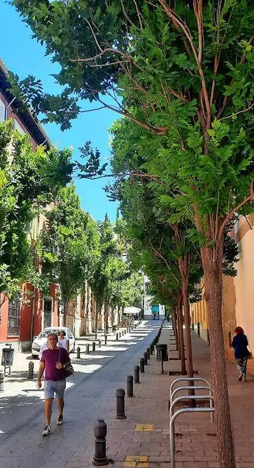 Casa Honda10 Apartment Granada